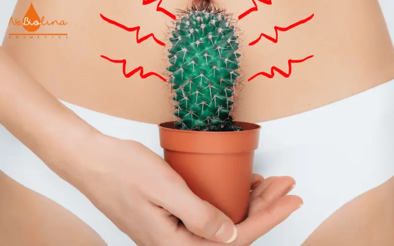 Dung dịch vệ sinh chứa thành phần làm sạch quá mức có thể gây khô, ngứa