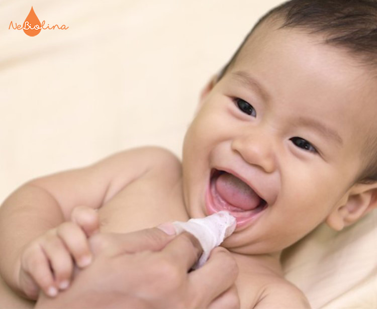 Vệ sinh nướu và răng cho trẻ với gạc mềm