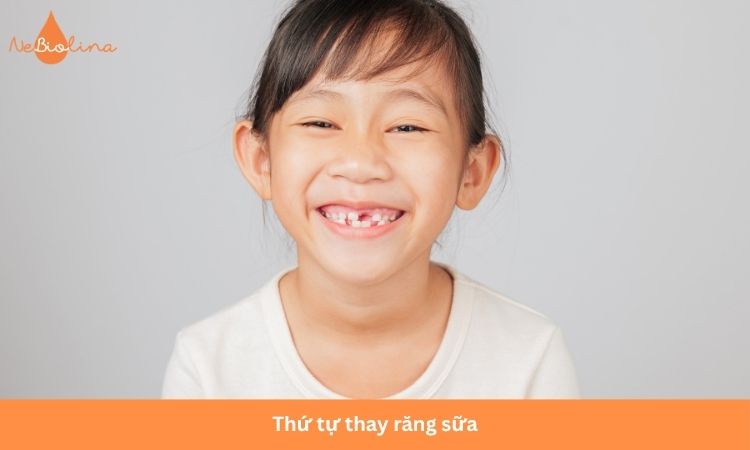 Hiểu thứ tự thay răng sữa để can thiệp đúng cách trong từng trường hợp.