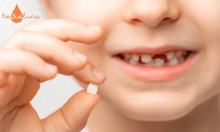 Bé mấy tuổi thay răng sữa?