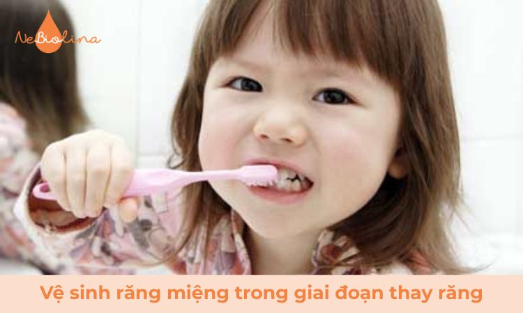 Vệ sinh tăng cường vùng kẽ trong giai đoạn thay răng