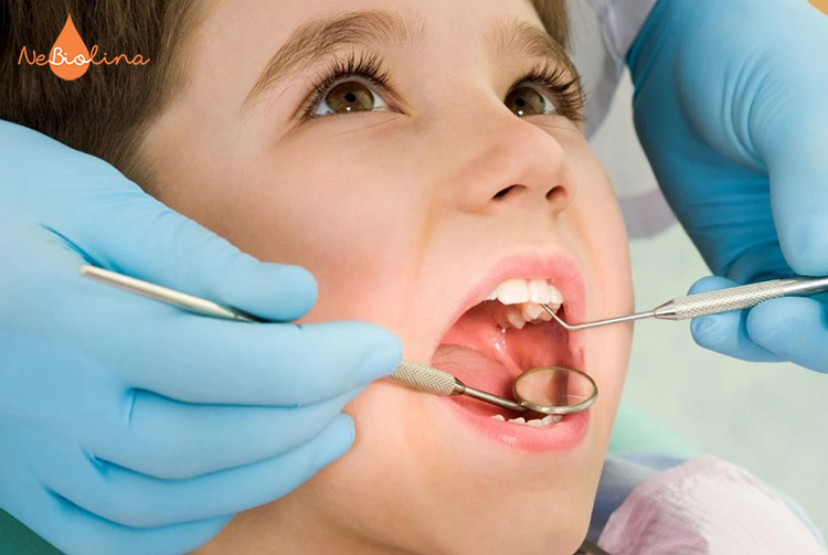 Bố mẹ nên cho trẻ đi khám nha khoa định kỳ để theo dõi tình trạng răng của con
