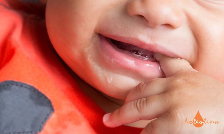 Em bé thường chảy nhiều nước dãi khi răng bắt đầu nhú lên