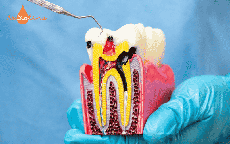 Điều trị tuỷ răng sữa cho bé có độ hiệu quả cao