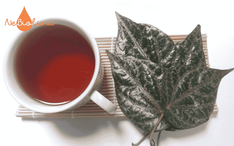 Lá trầu giúp hỗ trợ trị hôi miệng