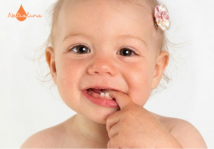Nguồn gốc tên gọi “răng sữa” có sự tương đồng giữa các nền văn hóa