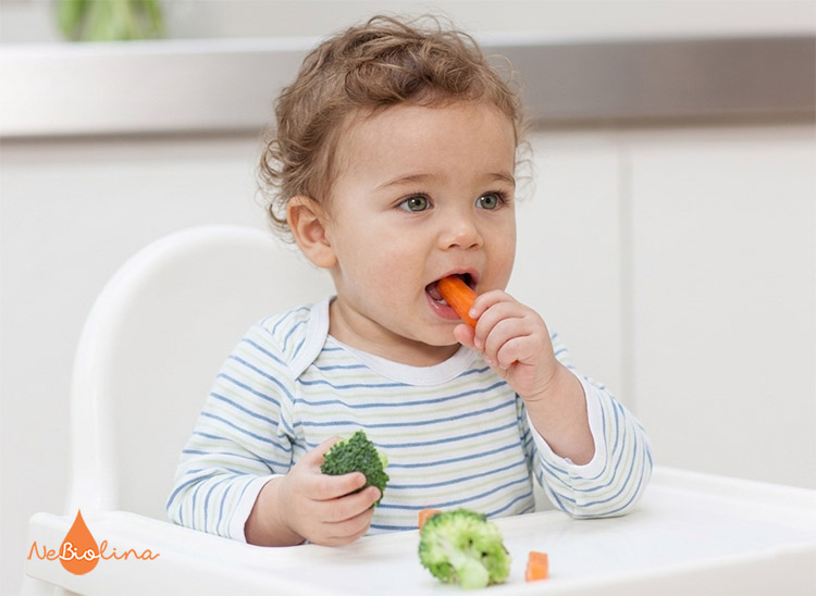 Răng sữa có tác dụng giúp bé nhai nhỏ thức ăn khi bắt đầu ăn dặm