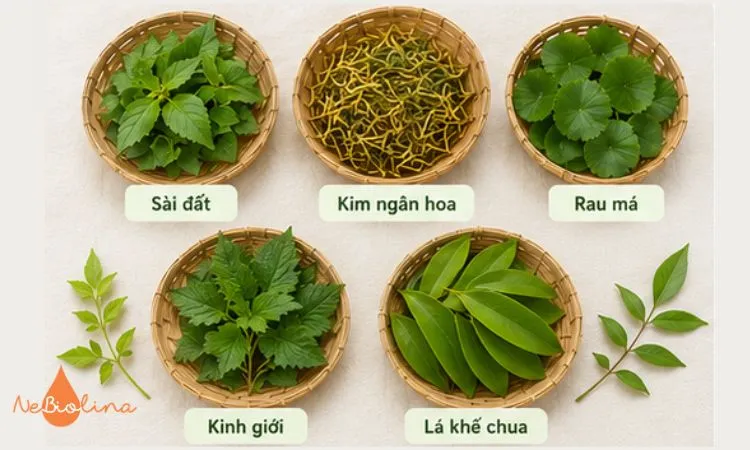Một số thảo dược thường kết hợp với sài đất để tắm cho bé.