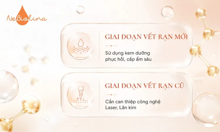 Mỗi giai đoạn rạn cần các phương pháp điều trị khác nhau