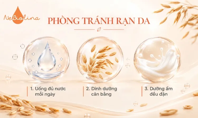 Nguyên tắc cơ bản trong phòng tránh rạn da là dưỡng ẩm cả trong và ngoài