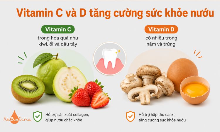 Vitamin C và vitamin D góp phần duy trì nướu khỏe mạnh.