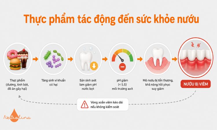 Chế độ ăn uống đóng vai trò quan trọng đối với sức khỏe nướu.