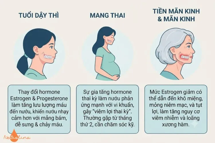 Sự thay đổi nội tiết gây viêm lợi