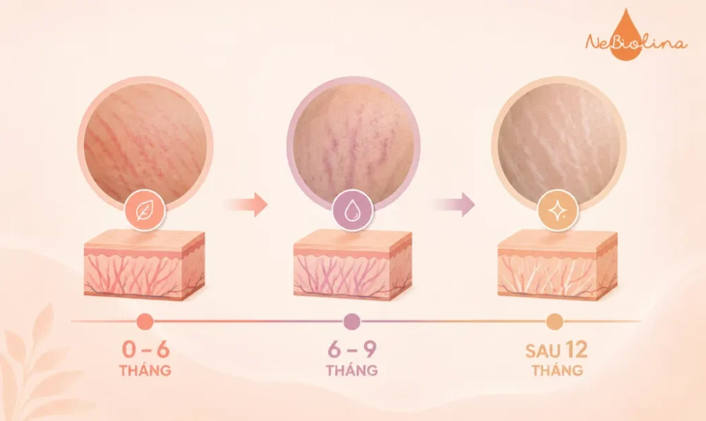 Quá trình rạn đỏ chuyển thành rạn trắng