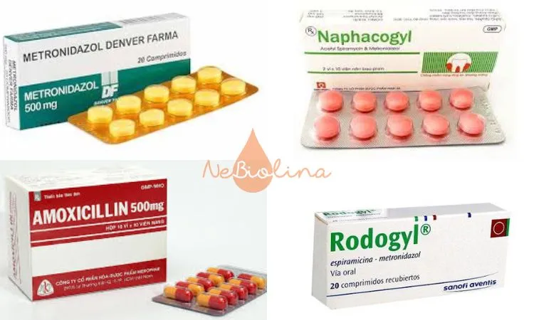 Một số loại kháng sinh được sử dụng trong điều trị viêm nướu. 