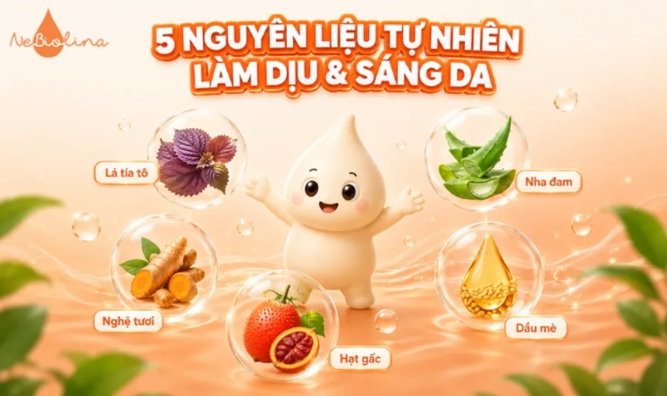 Một số nguyên liệu tự nhiên lành tính có thể sử dụng để làm mặt nạ trị nám