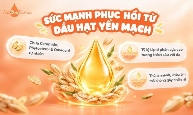 Dầu hạt yến mạch có cấu trúc gần với lipid tự nhiên trên da