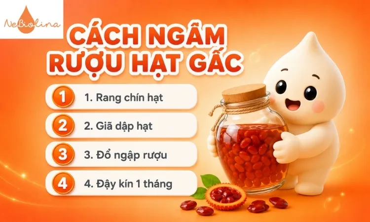 Cách ngâm rượu hạt gấc