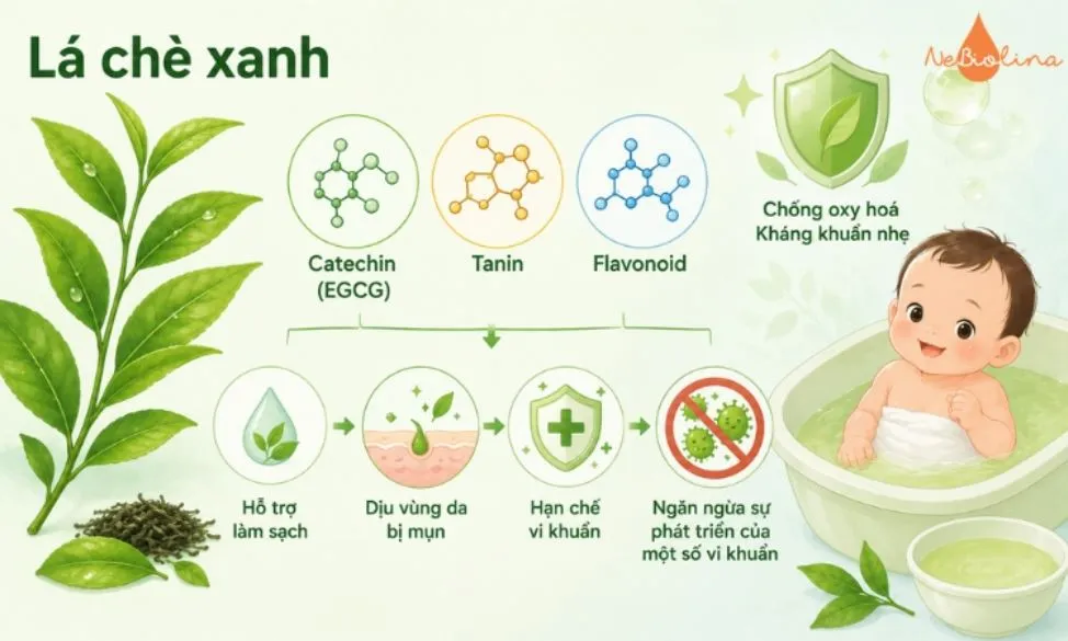 Lá chè xanh hạn chế sự phát triển của vi khuẩn trên da bé.