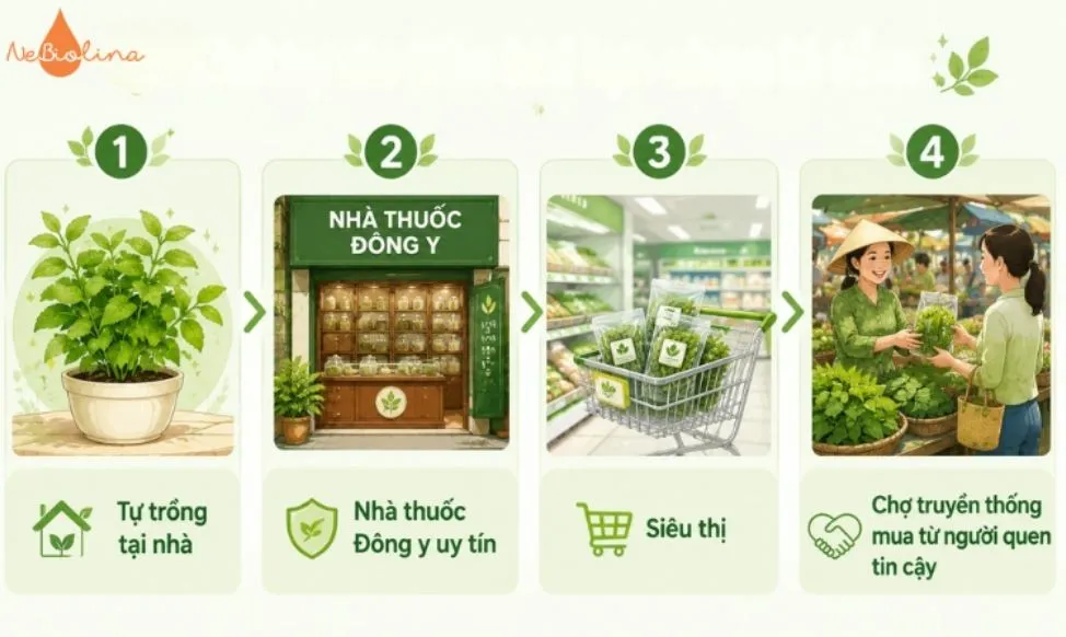 Lựa chọn lá tắm trị mụn sữa cho bé ở địa chỉ uy tín.