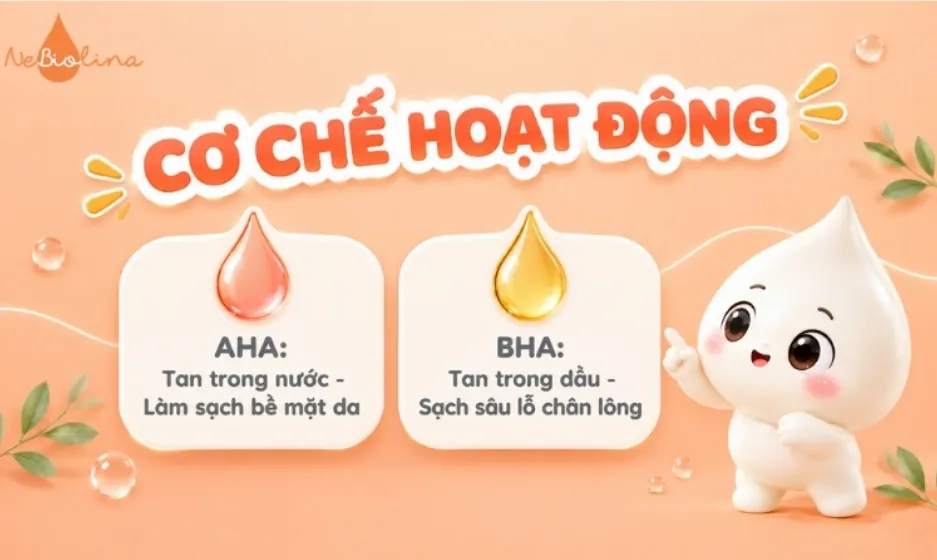 AHA và BHA hoạt động theo những cơ chế khác nhau