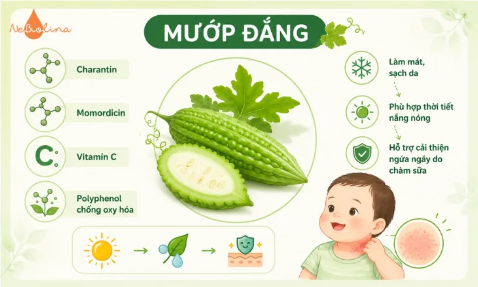 Mướp đắng làm mát và sạch vùng da bị chàm sữa. 