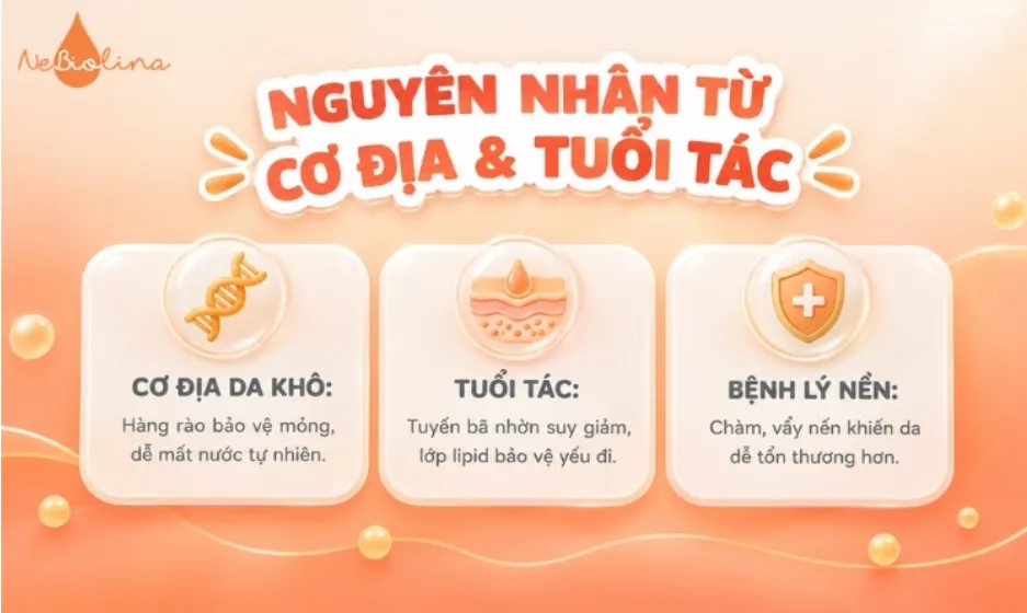 Da khô tróc vảy do cơ địa & tuổi tác