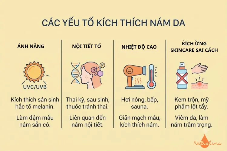 Các yếu tố kích thích nám