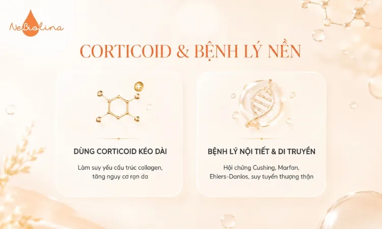 Sử dụng corticoid trong thời gian dài có thể làm suy yếu cấu trúc collagen