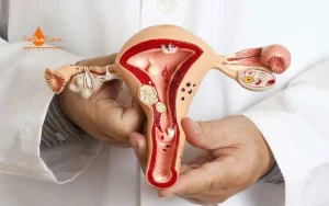 ảnh đại diện cấu tạo bộ phận sinh dục nữ