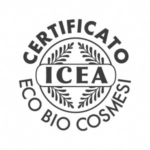 Icon3 02
