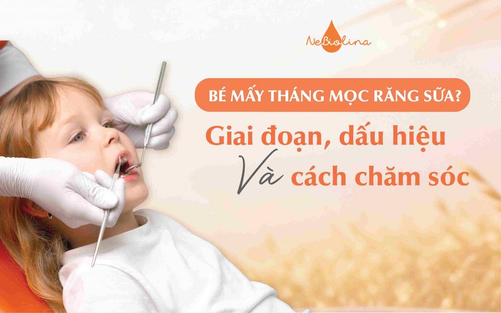 Bé mấy tháng mọc răng sữa giai đoạn, dấu hiệu và cách chăm sóc