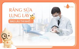 Răng sữa lung lay bao lâu thì nhổ?