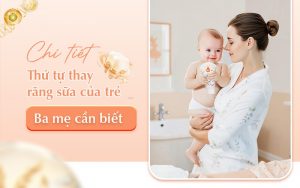 Chi tiết thứ tự thay răng sữa của trẻ ba mẹ cần biết