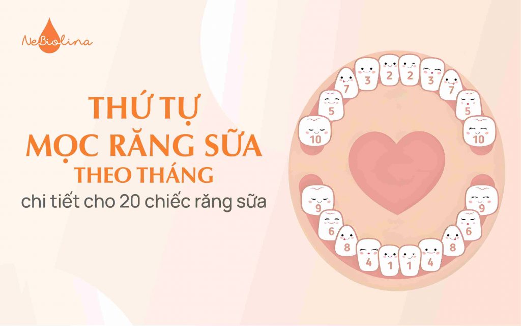 thứ tự mọc răng sữa