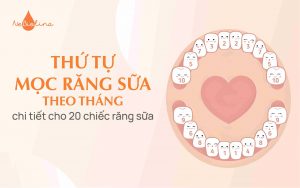 thứ tự mọc răng sữa
