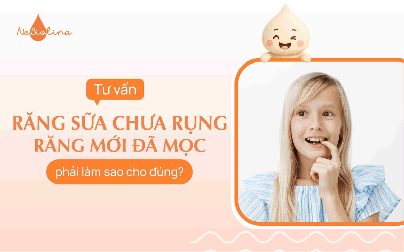 răng sữa chưa rụng đã mọc răng mới