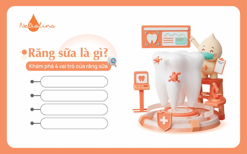 Răng sữa là gì