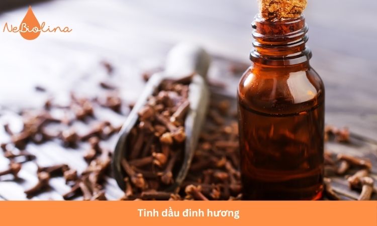 Tinh dầu đinh hương là một trong những nguyên liệu hỗ trợ giảm đau răng tốt nhất.
