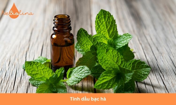 Tinh dầu bạc hà đẩy lùi hôi miệng do sâu răng.