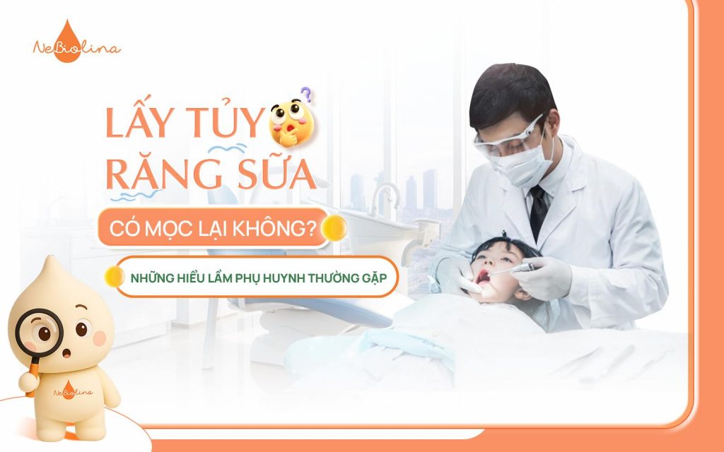 Lấy tủy răng sữa có mọc lại không