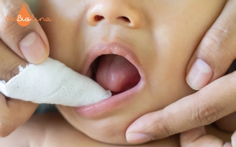Lau nướu bằng gạc sạch sau bú cho trẻ