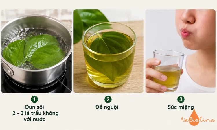 Mẹo chữa sâu răng bằng lá trầu không vẫn được dùng phổ biến ngày nay.
