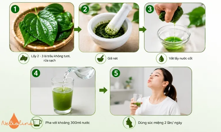 Lá trầu không mang lại nhiều hiệu quả trị viêm nướu.