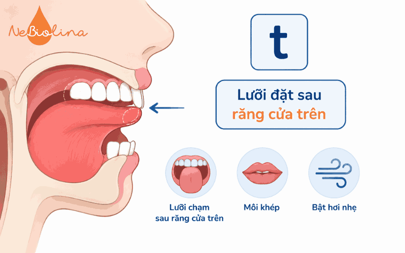 Trẻ bị nói ngọng khi bị sún răng cửa