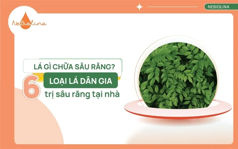 Lá gì chữa sâu răng