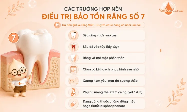 7 trường hợp được chỉ định điều trị bảo tồn răng số 7