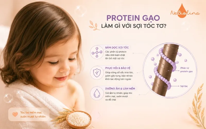 Protein gạo giúp phục hồi và bảo vệ sợi tóc