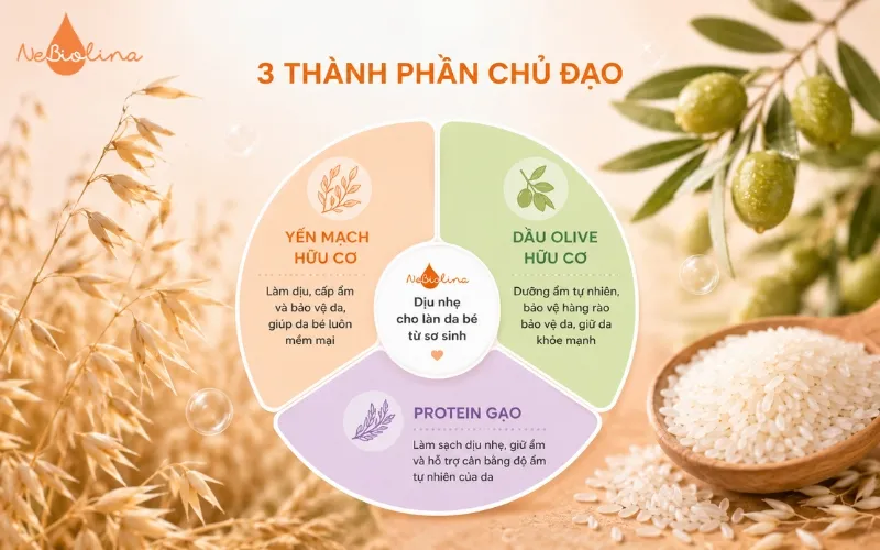 3 thành phần chính trong công thức của dung dịch tắm gội NeBiolina