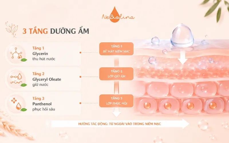 Cơ chế dưỡng ẩm 3 tầng của dung dịch vệ sinh hữu cơ NeBiolina